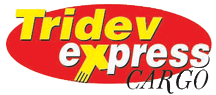 TRIDEV-LOGO